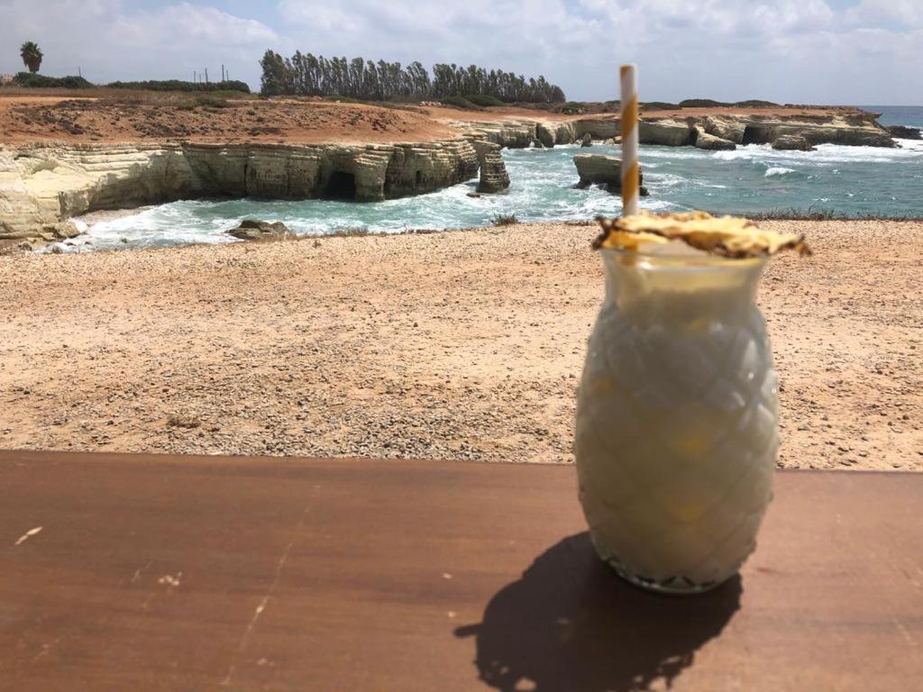207 Kings Palace Seaview Pafos Dış mekan fotoğraf